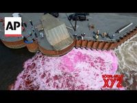 Ocean dumping or a climate solution? A growing industry bets on the ocean to capture carbon (Video) - Social News XYZ