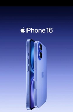 Hocam evrim ağacından neden şu ana kadar yeni icatlar/inovasyonlar görmedik?