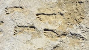 Ancient Footprints Reveal Coexistence Of Two Hominin Species