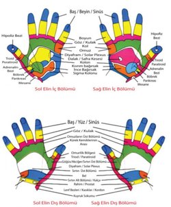 Alternatif tıbbın kullandığı meridyen haritalar nasıl temellendiriliyor?