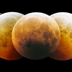 Eclipsed Moon Montage