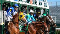 Kentucky Derby 2025: Odds, how to watch, stream for free Cincinnati-area horse in race