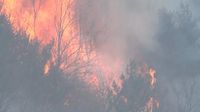 Carbon County forest fire coming too close for comfort