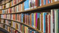 Books about race and gender to be returned to school libraries on some military bases