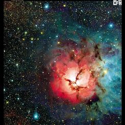 The Trifid Nebula from CFHT