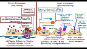 New Treatment Strategy Offers Hope For IBD Patients