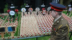 Belfast Opens Field Of Remembrance And Fireworks Draw Crowd