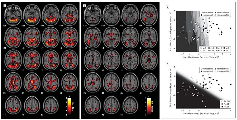 Deneklerin fMRI sonuçları arasındaki farka bakarak pedofil/pedofil-olmayan grafiği kolaylıkla oluşturulabilindi.