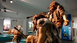 Almanya’da 125.000 Yıllık Neandertal 'Yağ Fabrikası' Ortaya Çıkarıldı.