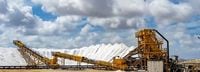 Why Minerals 260 (ASX:MI6) Is Up 24.0% After Bullabulling Drilling Results Hint at Resource Upside