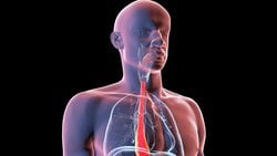 Dijital İkizler, Yemek Borusu Ameliyatlarının Geleceğini Nasıl Şekillendiriyor?