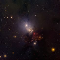 In the Center of Reflection Nebula NGC 1333