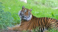 Owner confirms Paignton Zoo is up for sale