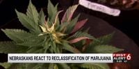 Marijuana reclassification order divides Nebraska leaders, advocates