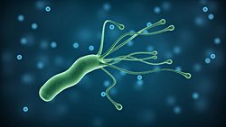 Helicobacter pylori Bakterisi Mide Kanserine Neden Olabilir!