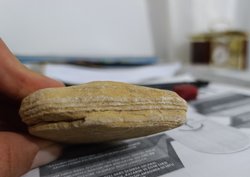 Bulduğum bu  "tortul kayaç"  tam olarak nedir?