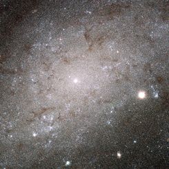 The Stars of NGC 300