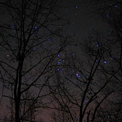  The Fainting of Betelgeuse 