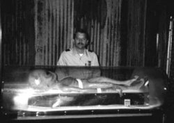 Evrende karbon dışında mesela silisyum gibi karbona benzer bir elementin yaşam zincirine katılma durumu olabilir mi? Silisyum döngüsü neden olmasın?