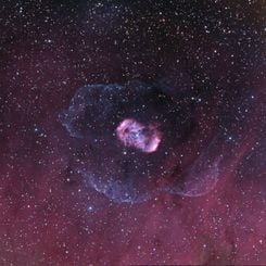 A Halo for NGC 6164