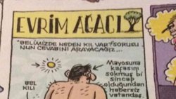 Evrim Ağacı - Uykusuz