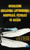Böceklerde (Hexapoda: Arthropoda) Morfoloji, Fizyoloji ve Gelişim