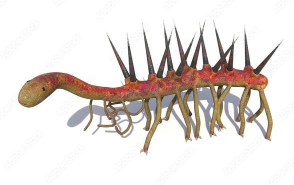 Lobopod örnek görünüm.