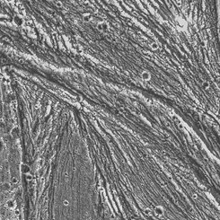 Galileo Photographs Ganymede