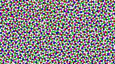 Düzensiz Hiper-Tekdüzelik: Tavukların Gözlerinde Yeni Bir Madde Hali Keşfedildi!