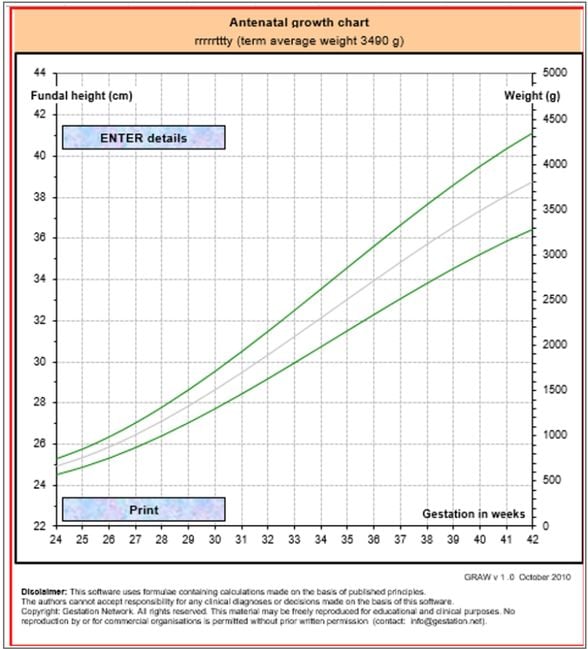 Fundal Height and Birth Weight