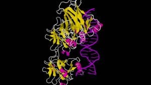 RNA ve DNA'nın Evrimi: Ribozim, Dünya'da Yaşamı Nasıl Başlattı?