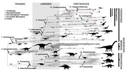 Dinozorlar Kuşlara Evrimleşirken Düzenli Olarak Küçüldüler!