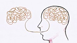 Beyin Dilleri Nasıl Öğreniyor? Dil Zihinde Nasıl Yapılanır?