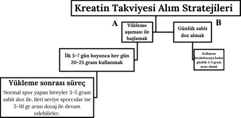 Kreatin takviyesinin tüketim stratejileri hakkında izlenmesi gereken adımlar için tabloyu inceleyebilirsiniz.