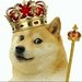 The Doge