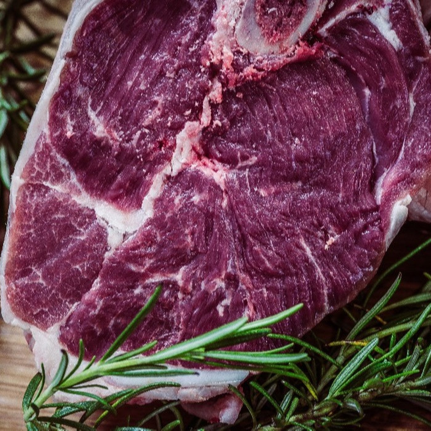 Evrim Ağacı ile Bilime Dair Her Şey!