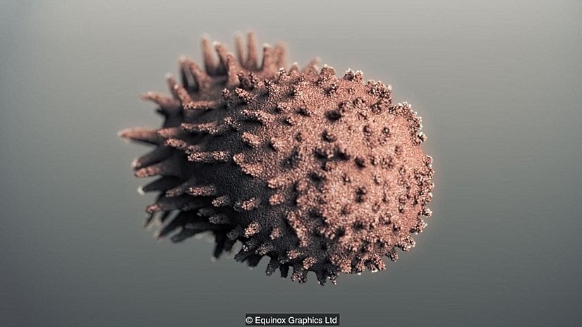 Mikroorganizmaların yaşamı...