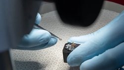 Ryugu Asteroit Örnekleri Dünya Dışında Yaşamın Uzayın En Soğuk Derinliklerinde Oluşabileceğini Ortaya Koyuyor.