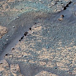 Razorbacks in Endurance Crater