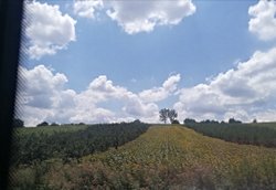 Parelel evrenlere nasıl geçiş yaparım?