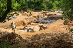 400.000 Yıllık Kamp Ateşi: İnsanların Ateş Yakmayı Sandığımızdan Çok Daha Erken Öğrendiğine Dair Yeni Kanıt.