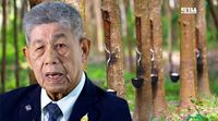 จับตา พรุ่งนี้ “นฤมล”งัด พรบ.ควบคุมยาง ดัดหลังพ่อค้ากดราคาเอาเปรียบชาวสวน