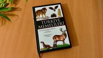 Kitap Analizi: Türkiye Memelileri