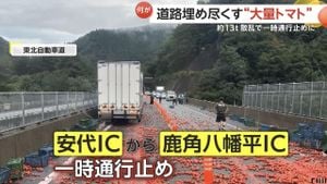 Tokyo Highways Initiate Preventative Closures Due To Heavy Snow