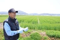 農家が本音「今の値段でないとやっていけない」　米の価格、長崎県内でも高止まり…消費離れの不安も