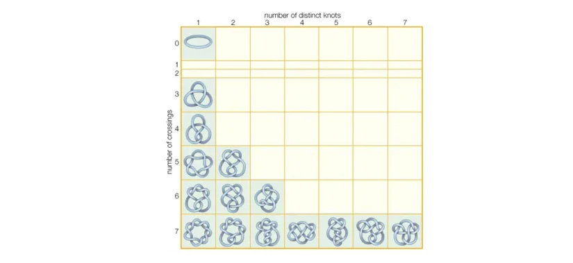 Düğümler telin kendisini ne şekilde ve kaç kez çaprazladığıyla karakterize edilir. Çaprazlama içermeyen ve yalnızca tekbaşına tek değişik düğüm oluşturan ilköğretim tek ilmek, düğüm teorisindeki en basit düğümdür. Farklı düğümlerin sayısı, çaprazlama sayısıyla muazzam ölçüde artar. Burada, 7'ye kadar olan çaprazlamaya malik düğümler gösterilmiştir.