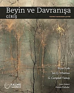 BEYİN VE DAVRANIŞA GİRİŞ