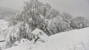 Sinaloa Experiences Record Low Temperatures Amid Cold Front