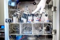 Mini-brains in jars hint at post-silicon future - Taipei Times