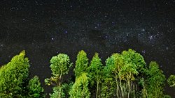 Hepimiz Ölümsüzüs